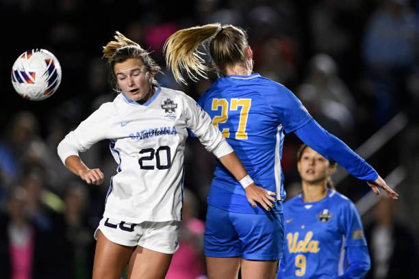 这个名字便 这个名字便