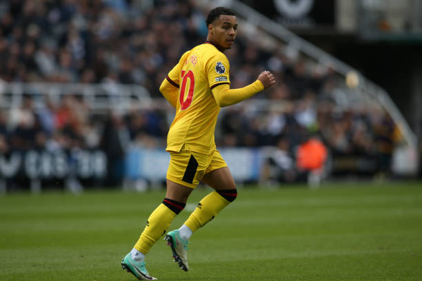 在其他球队 在其他球队